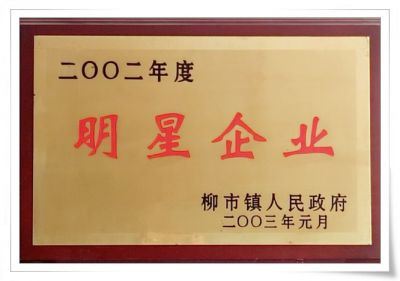 2002年明星企业