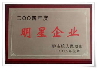 2004年明星企业
