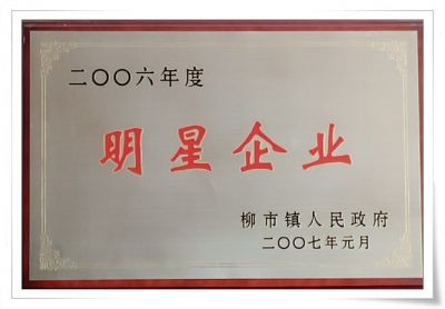 2006年明星企业
