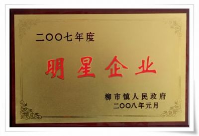 2007年明星企业