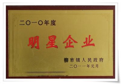 2010年明星企业